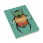 UPG5423, Notebook, Entomology 5